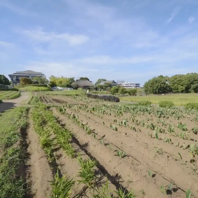 agriculturalpark-field-1 都市農業公園の畑