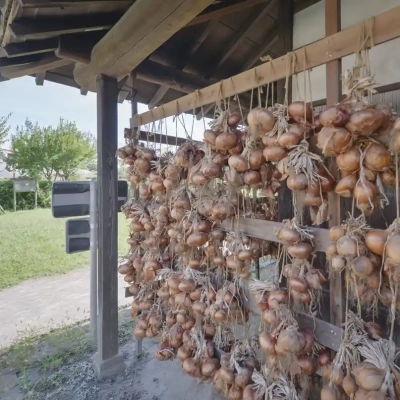 都市農業公園の古民家