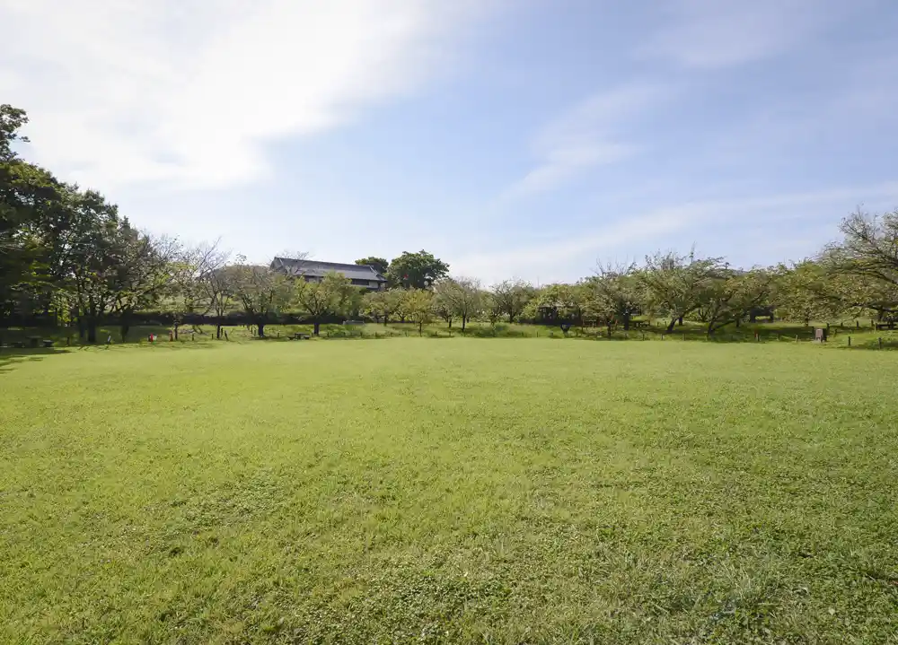 都市農業公園の芝生広場