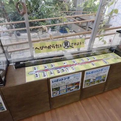 都市農業公園の「人と自然の共生館」