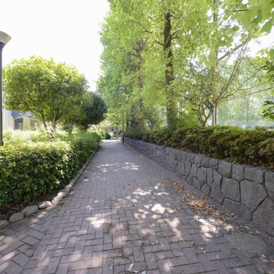 aoi-jogging-2 ウォーキングコース(青井公園)