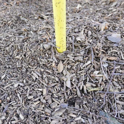 遊具周辺に敷かれているウッドチップ