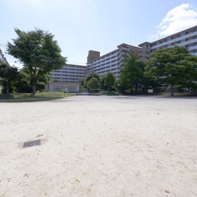 多目的広場（青和コミュニティ公園）