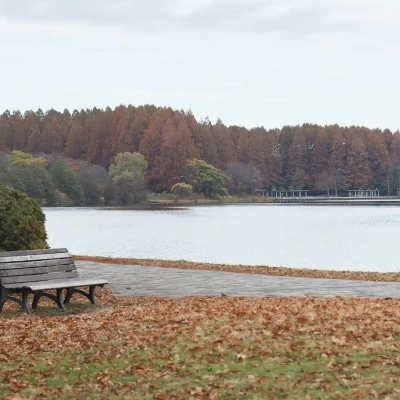 autumn-leaves-mizumoto-1 葛飾区にある水元公園の紅葉
