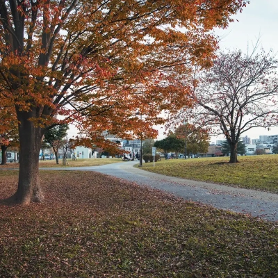 autumn-leaves-nakagawa-3 足立区にある中川公園B地区の紅葉