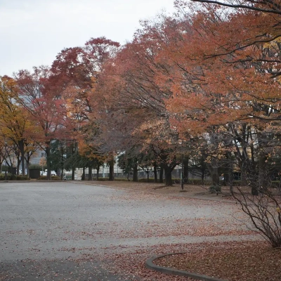 autumn-leaves-nakagawa-4 足立区にある中川公園A地区の紅葉