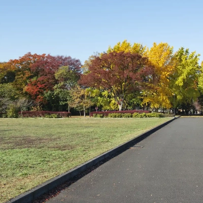 autumn-leaves-toneri-3 足立区にある舎人公園の紅葉