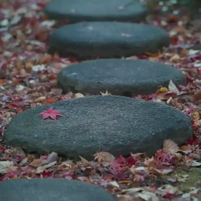 autumn-leaves-yakushiji-9 足立区にある薬師寺の紅葉