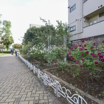 バラの小道（ベルモント公園）