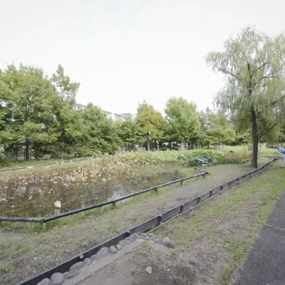 biotope-landscape-1 桑袋ビオトープ公園のハス田