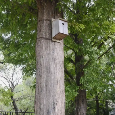 biotope-landscape-6 桑袋ビオトープ公園にあるシジュウカラの巣箱