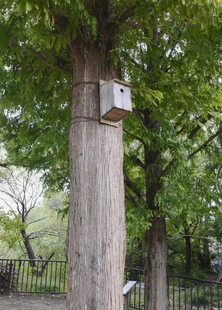 biotope-landscape-6 桑袋ビオトープ公園にあるシジュウカラの巣箱