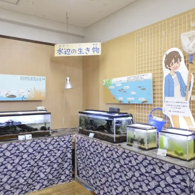 biotope-museum-7 桑袋ビオトープ公園の「あやせ川清流館」にある展示物