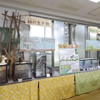 biotope-museum-8 桑袋ビオトープ公園の「あやせ川清流館」にある展示物