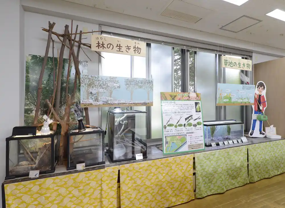 biotope-museum-8 桑袋ビオトープ公園の「あやせ川清流館」にある展示物