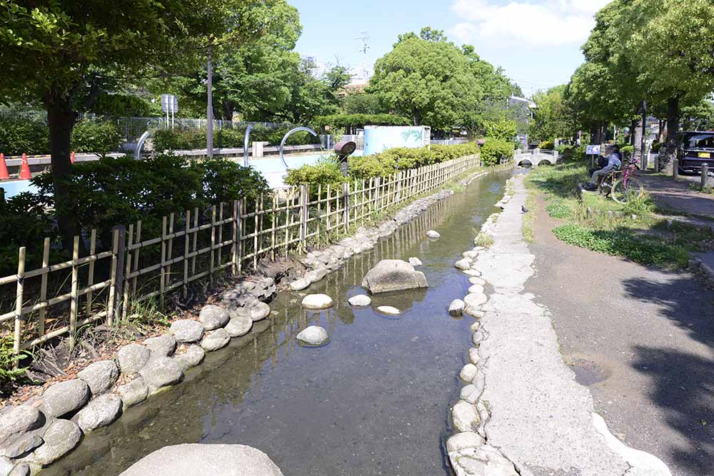 親水エリア（五反野コミュニティ公園）