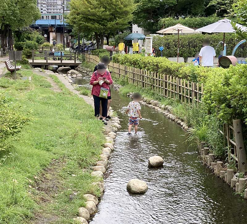 gotannoC-landscape-15 親水エリア(五反野コミュニティ公園)