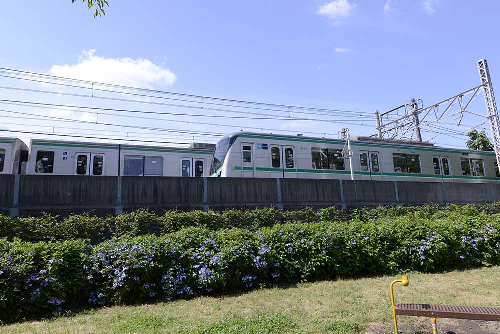 公園のすぐそばを走る電車（五反野コミュニティ公園）