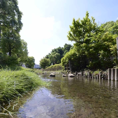 親水エリア（五反野コミュニティ公園）