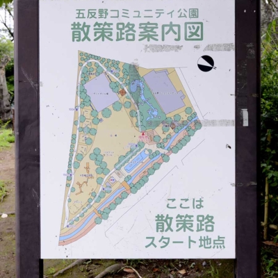 散策路（五反野コミュニティ公園）
