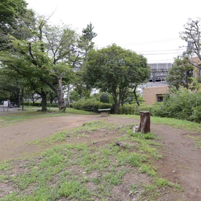 散策路（五反野コミュニティ公園）