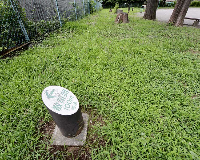散策路（五反野コミュニティ公園）