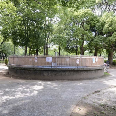 じゃぶじゃぶ池の全景（花畑公園）