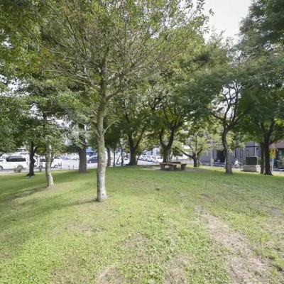 八十町公園の緑地