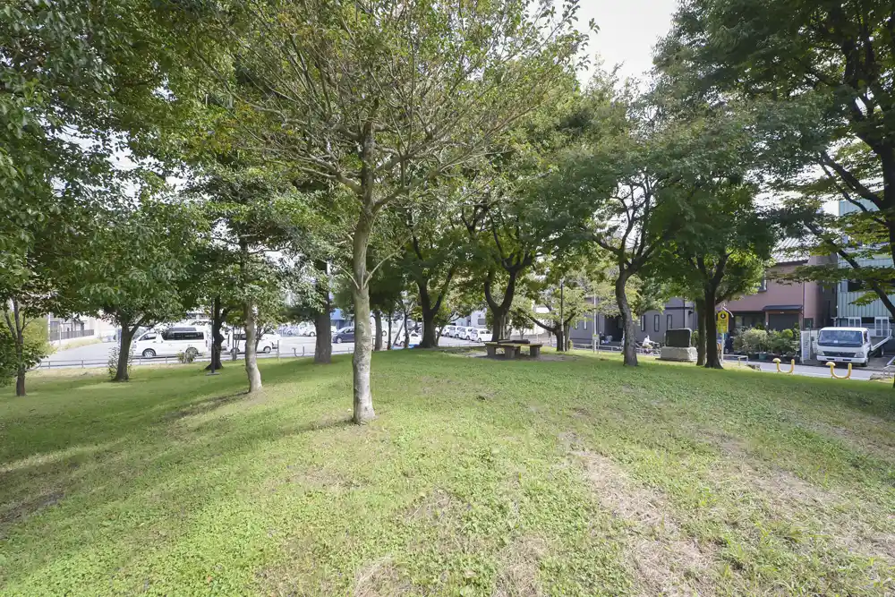 八十町公園の緑地