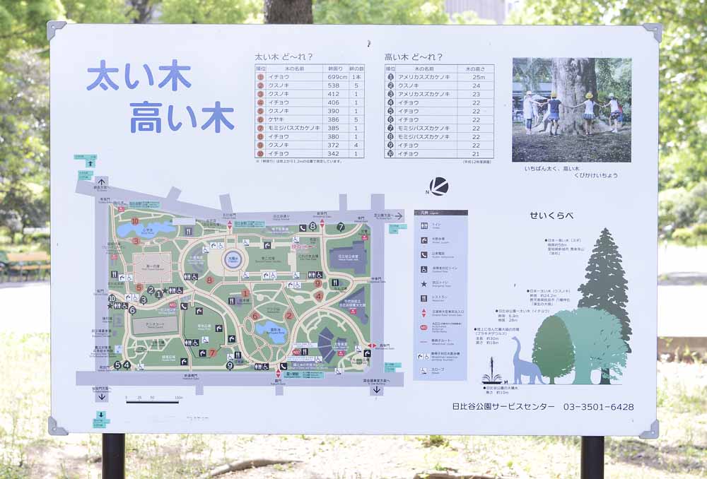 日比谷公園の見どころを紹介 遊具 ジョギング 健康器具 テニス