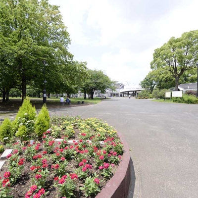 花壇（東綾瀬公園）