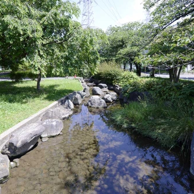 せせらぎ水路（東綾瀬公園）