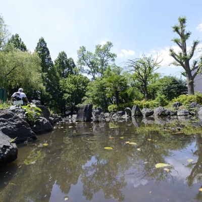 せせらぎ水路（東綾瀬公園）