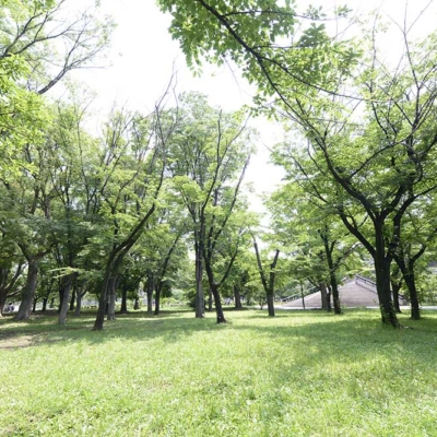 公園風景（東綾瀬公園）