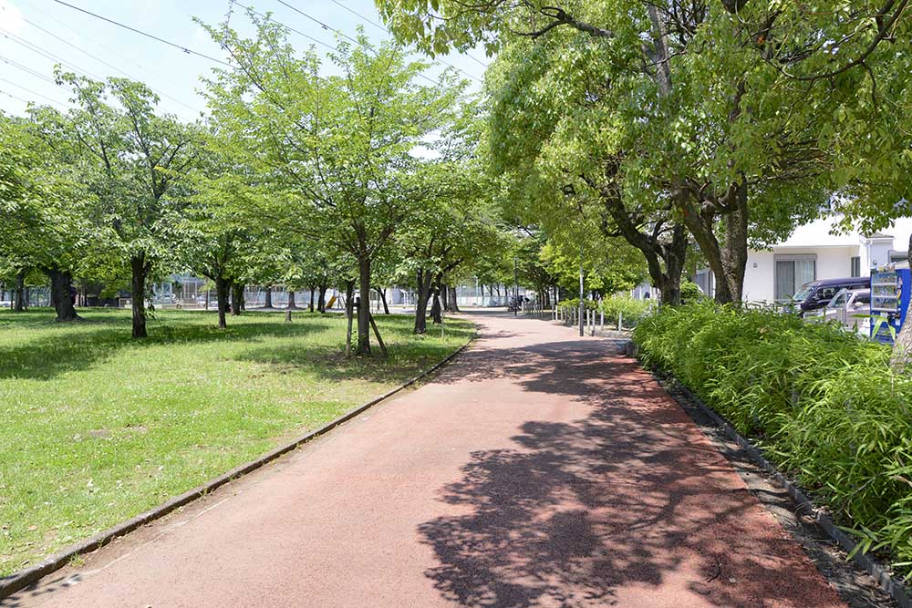 一ツ家第一公園の見どころを紹介:多目的広場(ボール遊び)・築山エリア・ウォーキングコース