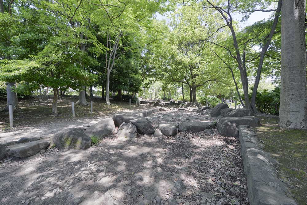 hitotsuya1-landscape-3 築山エリア(一ツ家第一公園)