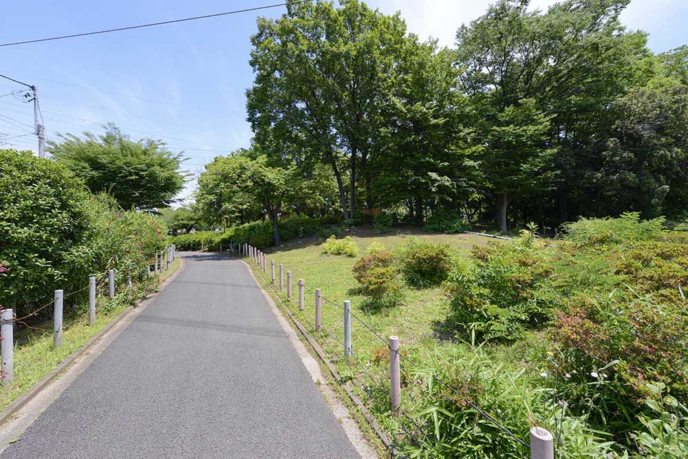 一ツ家第一公園の見どころを紹介:多目的広場(ボール遊び)・築山エリア・ウォーキングコース