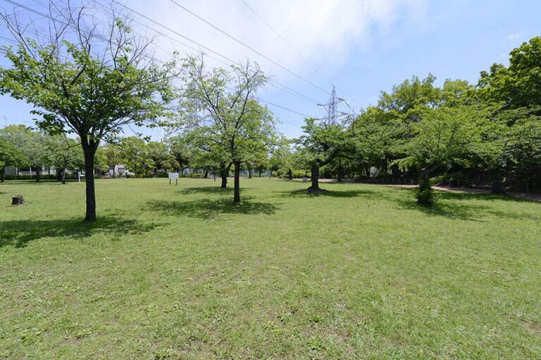一ツ家第一公園の見どころを紹介:多目的広場(ボール遊び)・築山エリア・ウォーキングコース