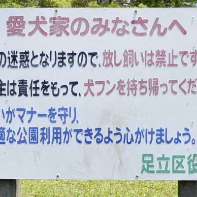 草地広場の案内板（一ツ家第一公園）