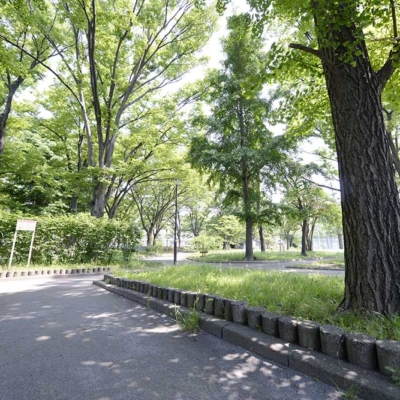 緑地（保木間公園）