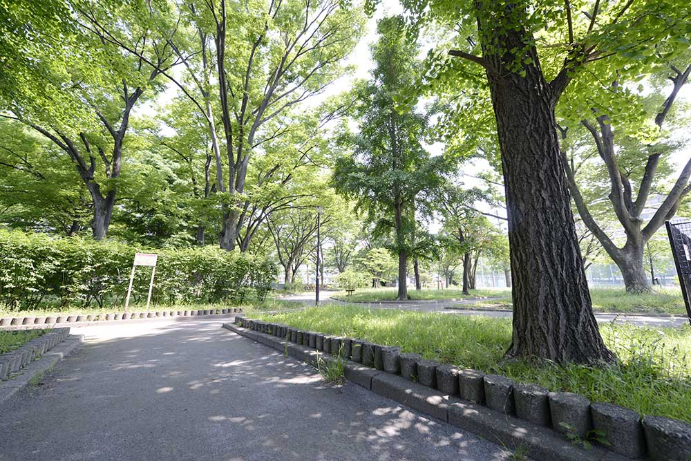 hokima-landscape-1 緑の中を走り回るだけでも楽しく遊べる