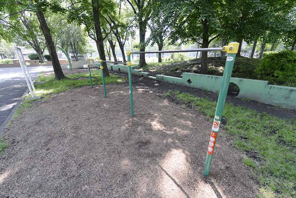 鉄棒（保木間公園）