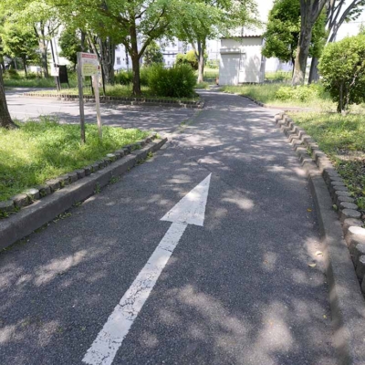 ウォーキングコース（保木間公園）