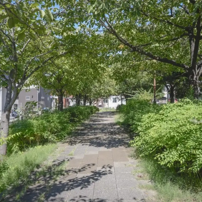 入谷日の出公園の風景