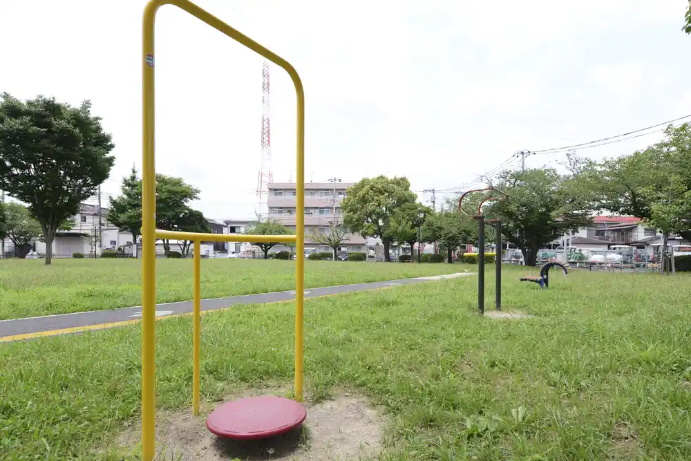 iriyanakagou-south-training-4 入谷中郷南恐竜公園の健康器具コーナー