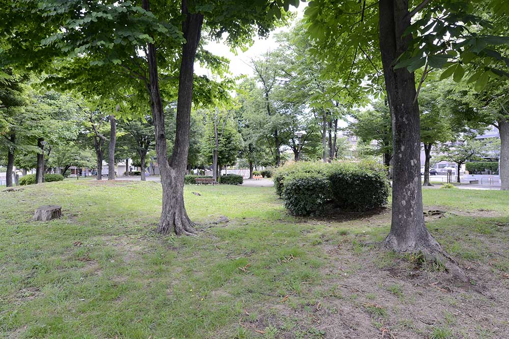 緑地（石塚公園）