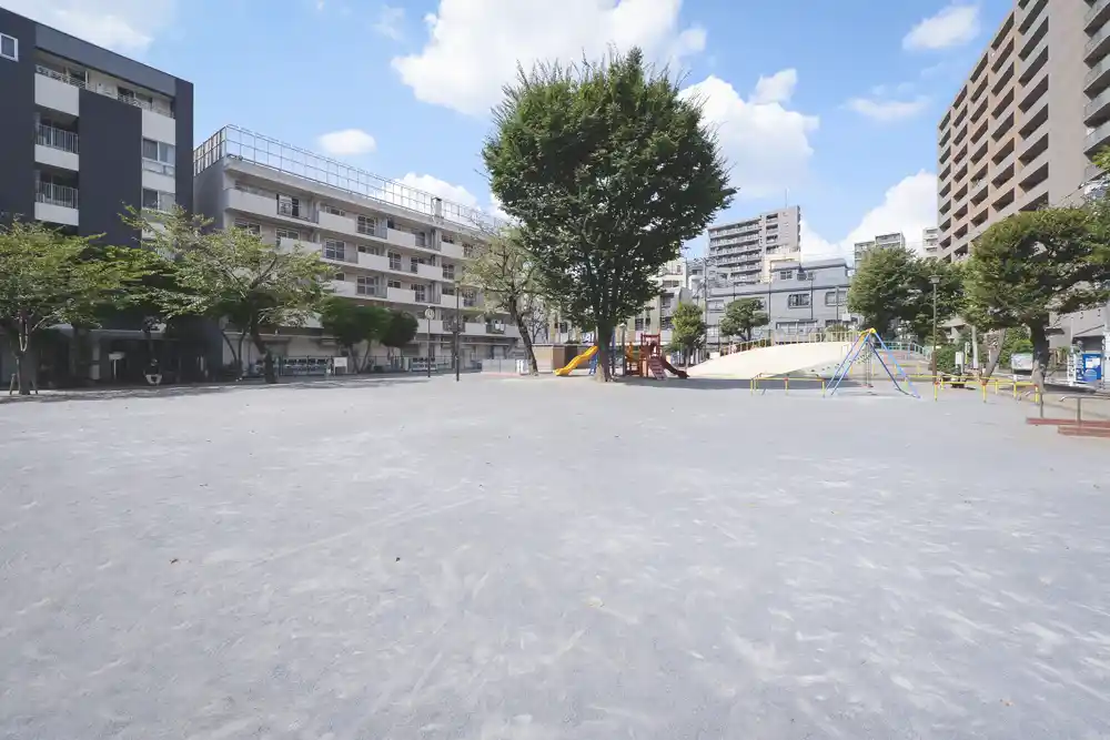 亀有公園にある多目的広場（ボール遊び）