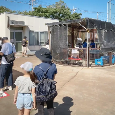 kamichibasunahara-animal-11 上千葉砂原公園にあるふれあい動物広場、モルモットコーナーの行列