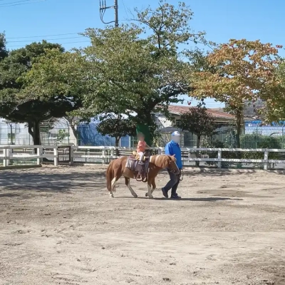 kamichibasunahara-riding-horse-4 上千葉砂原公園はポニーに乗馬できる