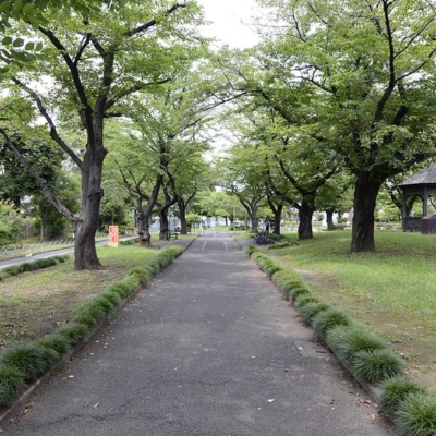 カートコース（北鹿浜公園）